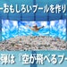 空が飛べるプール!プロジェクト