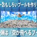 空が飛べるプール！プロジェクト