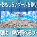 空が飛べるプール!プロジェクト