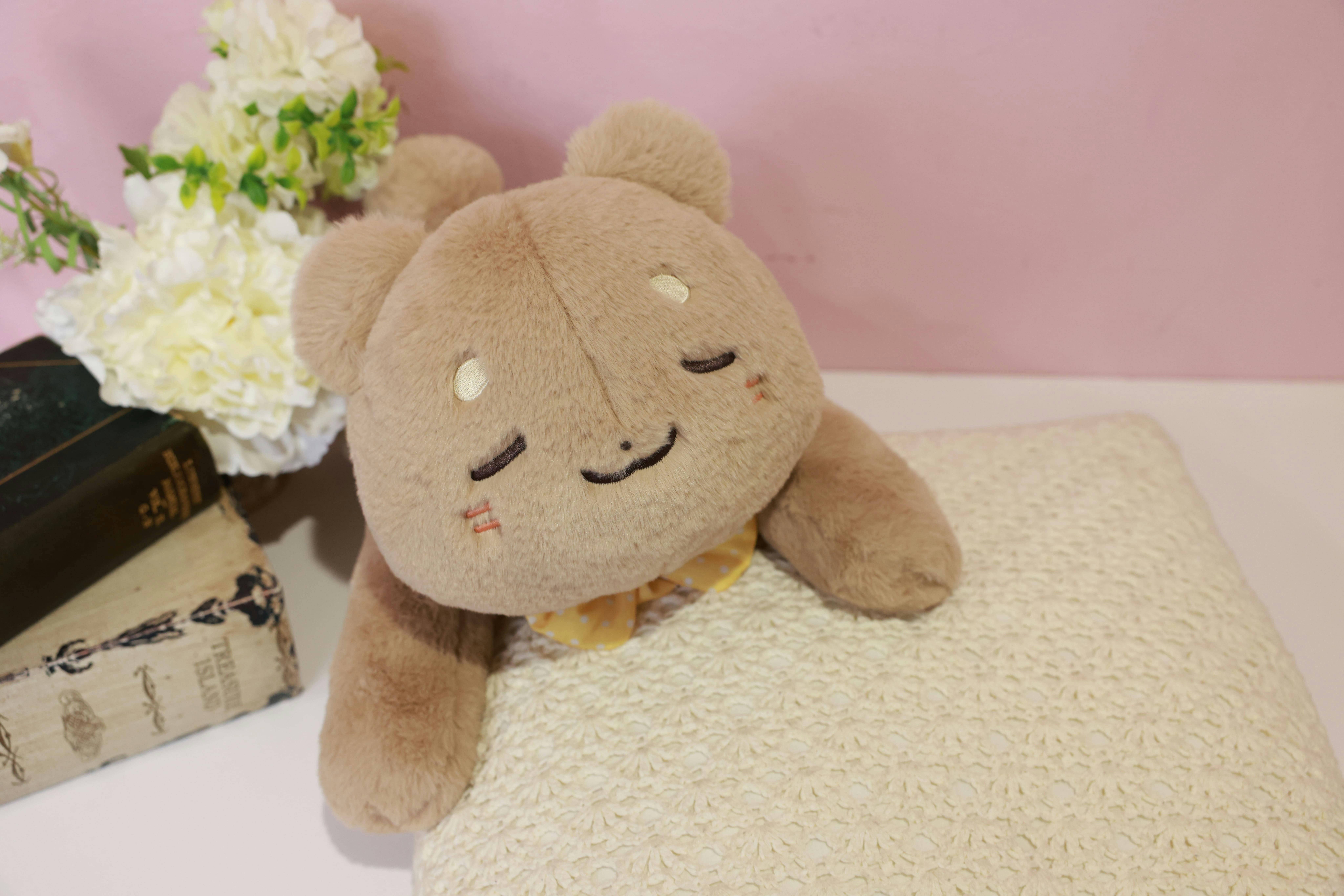 おやすみくまちゃんぬいぐるみプロジェクト - CAMPFIRE