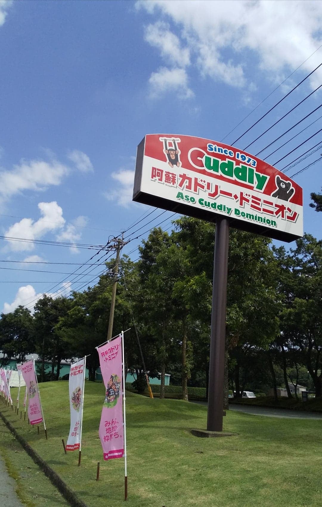 熊本県に嵐さんファンの皆んなが楽しく集えるカフェ新店舗オープンを応援して下さい Campfire キャンプファイヤー