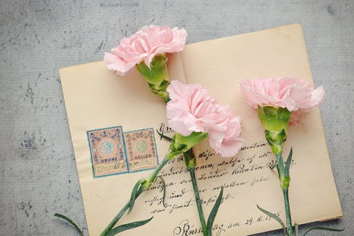学びをコロナで止めたくない いつでも学べる婚活オンラインスクールを開校したい Campfire キャンプファイヤー 学びをコロナで止めたくない いつでも学べる婚活オンラインスクールを開校したい Campfire キャンプファイヤー