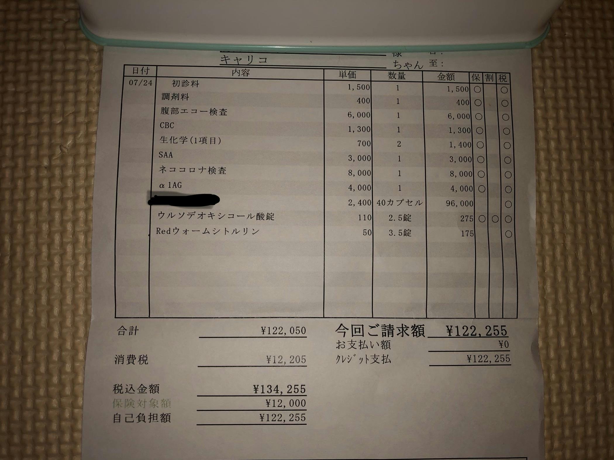 生後9カ月の命を守りたい Fip 猫伝染性腹膜炎 治療費のご協力お願いします Campfire キャンプファイヤー