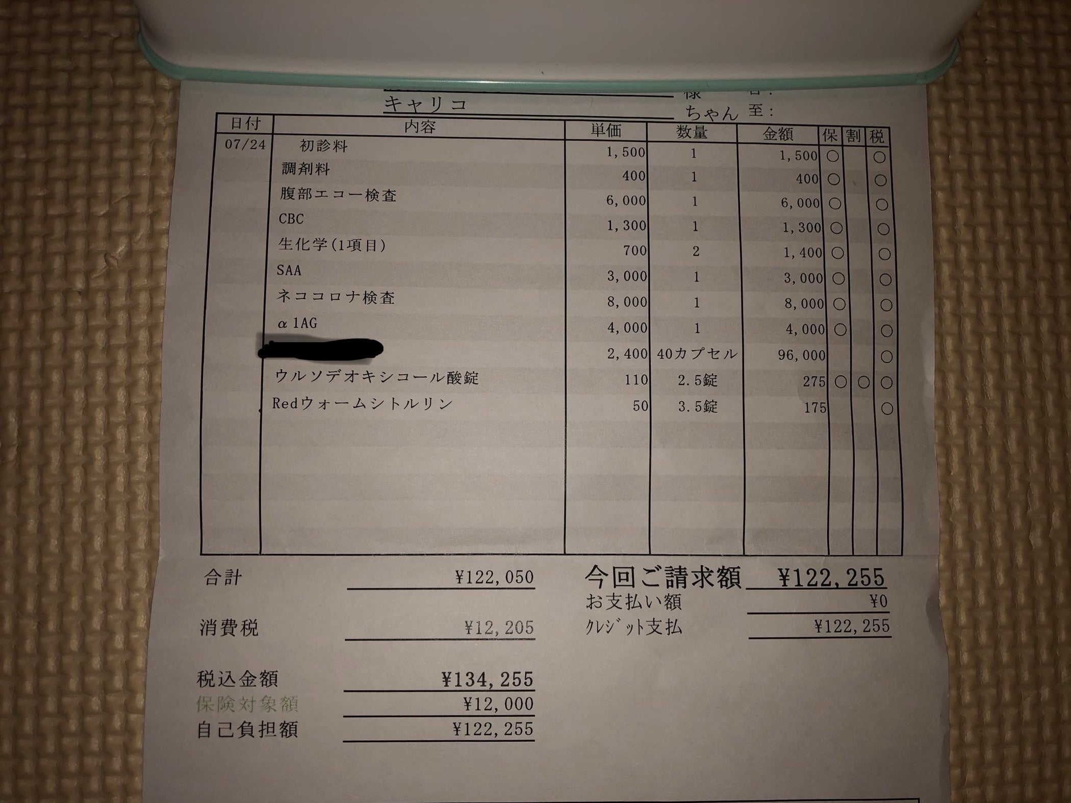 生後9カ月の命を守りたい Fip 猫伝染性腹膜炎 治療費のご協力お願いします Campfire キャンプファイヤー