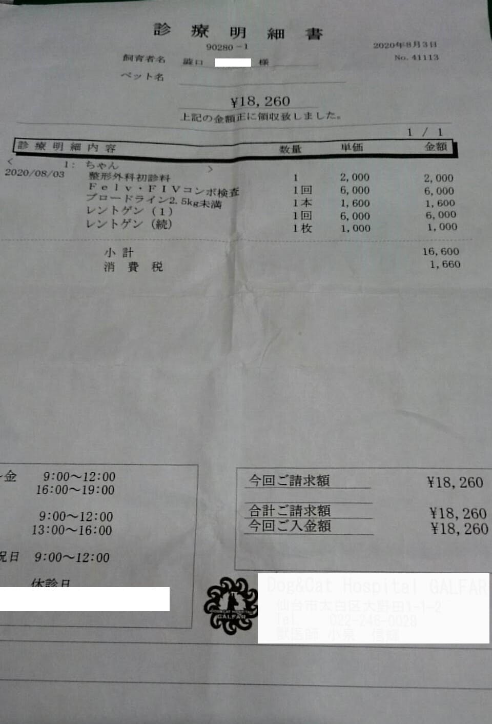 子供達の 助けてほしい から始まった挑戦 骨盤骨折の保護猫にご支援お願いします Campfire キャンプファイヤー 子供達の 助けてほしい から始まった挑戦 骨盤骨折の保護猫にご支援お願いします Campfire キャンプファイヤー