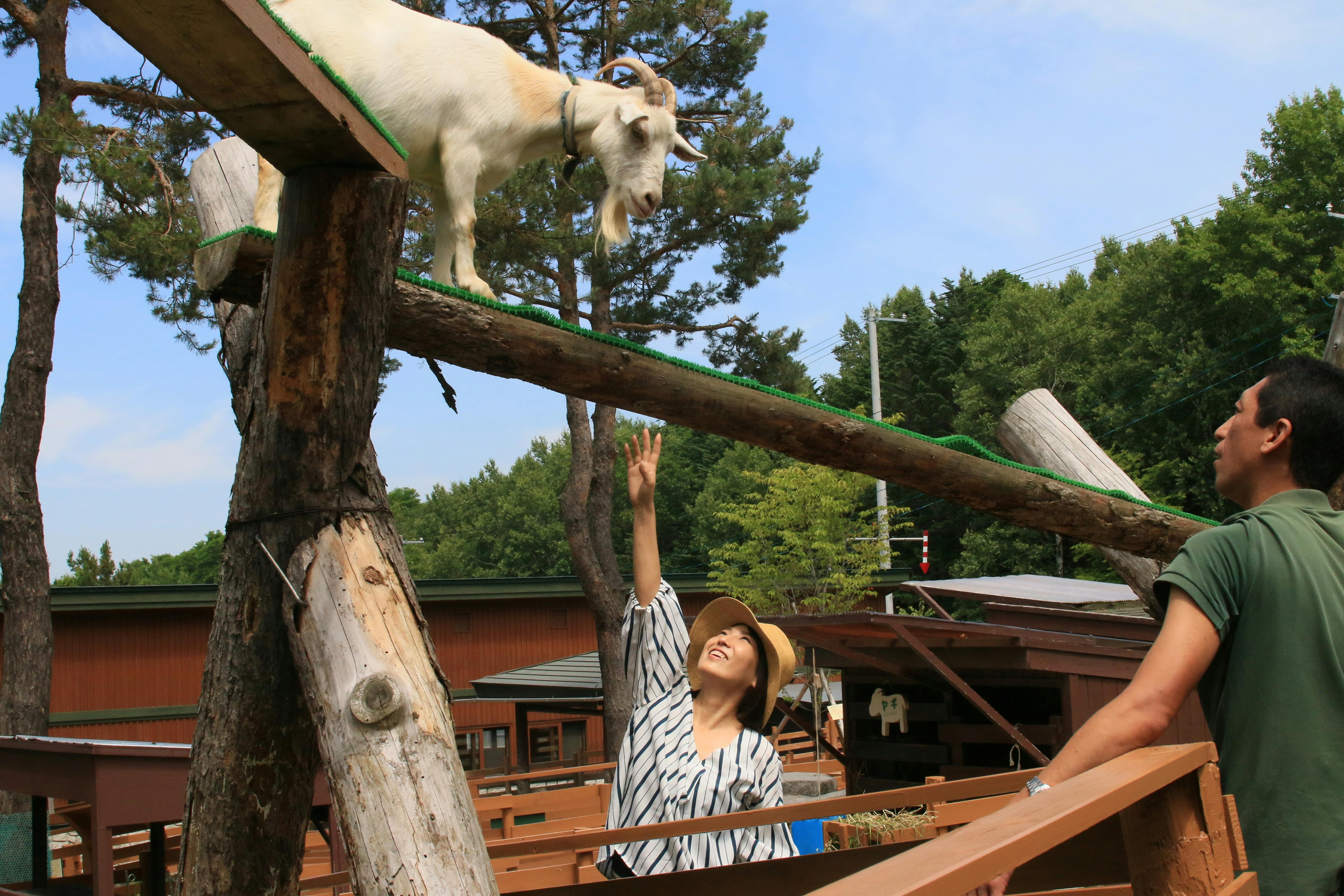 日本最北の動物園の舞台裏 旭山動物園のドキュメンタリー映画を作ります Campfire キャンプファイヤー