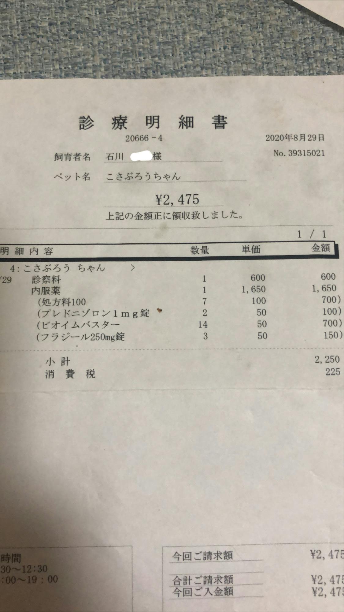 Fip猫伝染性腹膜炎治療費のご支援ご協力お願いします Campfire キャンプファイヤー Fip猫伝染性腹膜炎治療費のご支援ご協力お願いします Campfire キャンプファイヤー