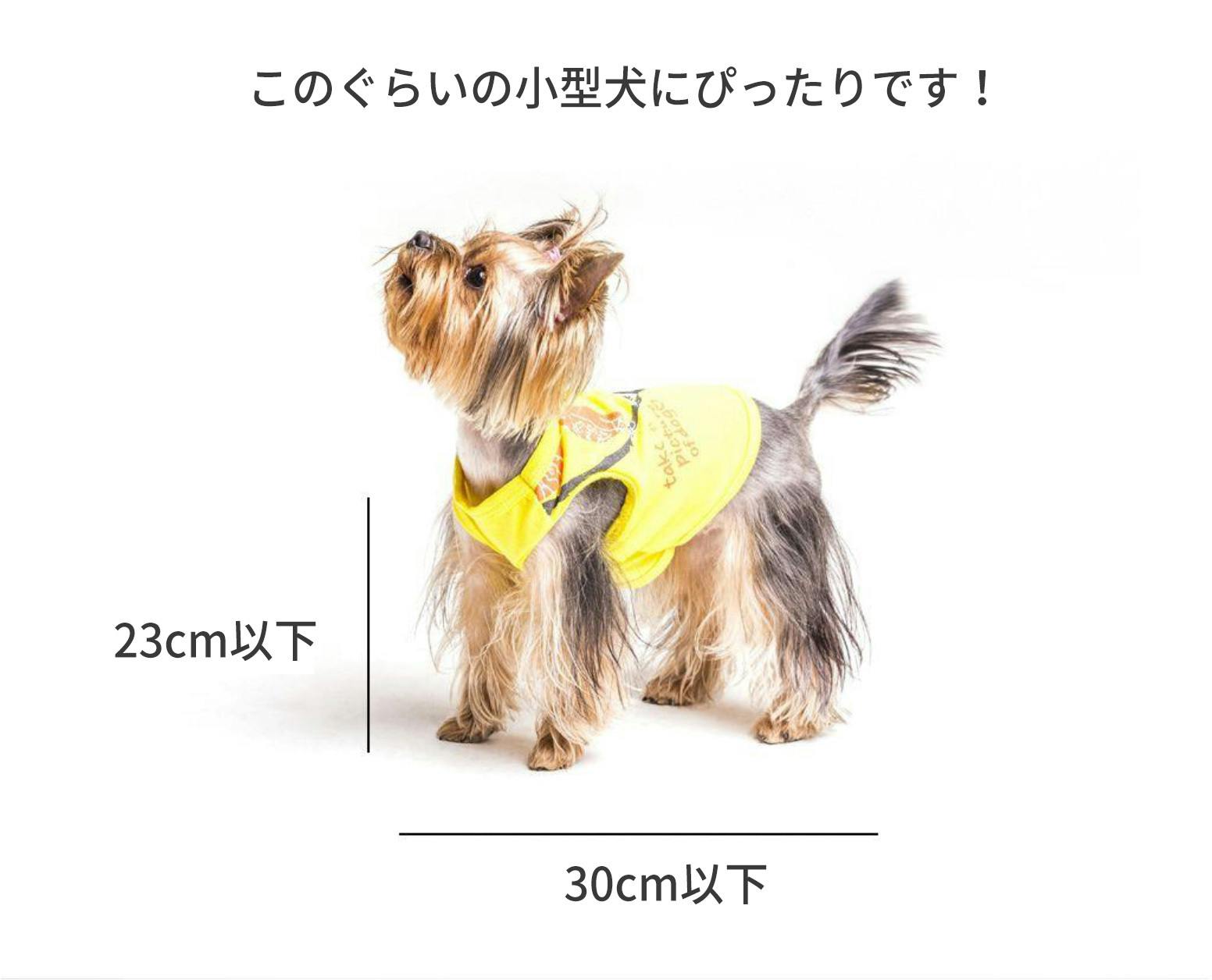 【売れ済】みーこ様専用　Samson salon 愛犬スタンドサムソンサロン 犬