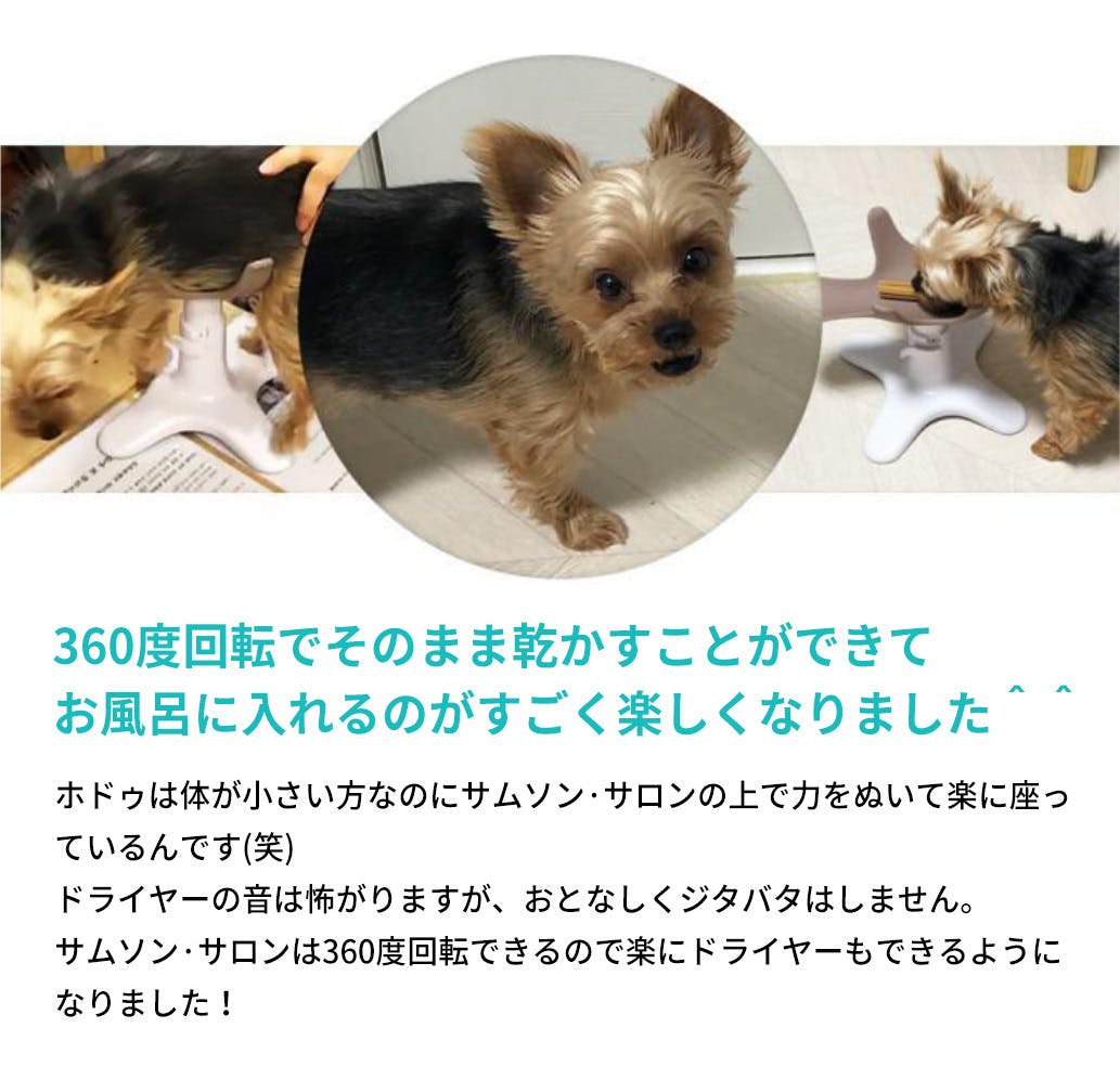 両手が自由に？！自宅でカットもシャンプーもできる美容室いらずの愛犬