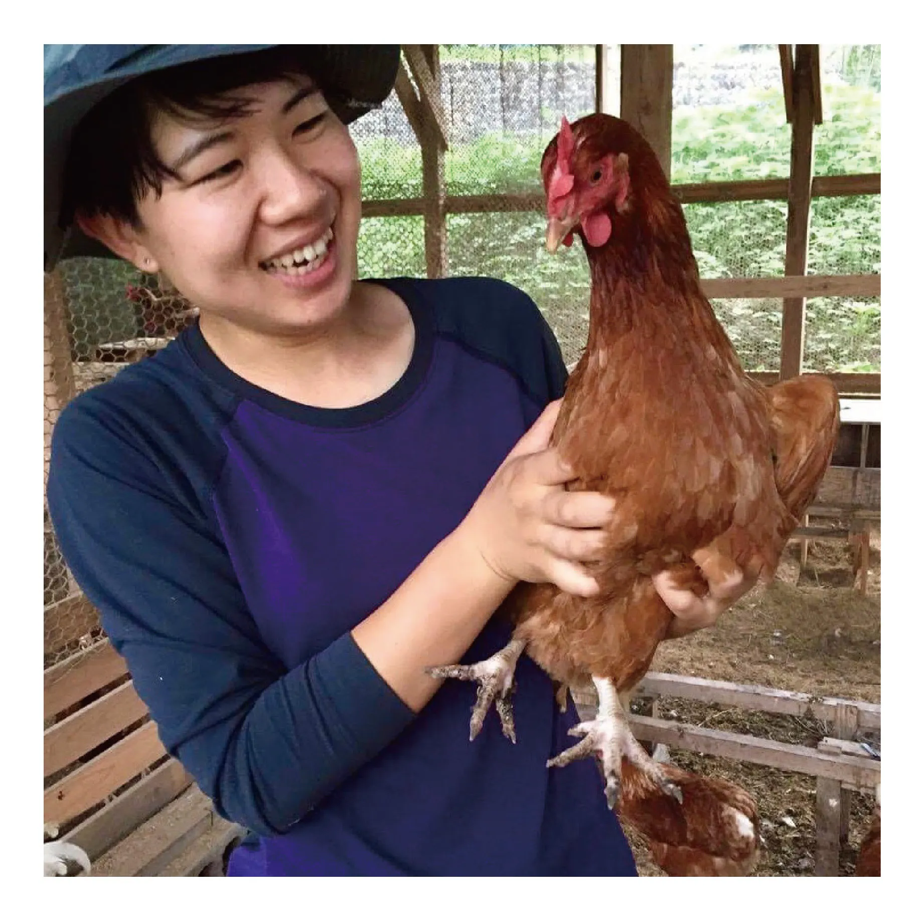 循環を作る 小規模養鶏を救う黄金の鶏ガラスープをみんなに届けたい Campfire キャンプファイヤー 循環を作る 小規模養鶏を救う黄金の鶏ガラスープをみんなに届けたい Campfire キャンプファイヤー