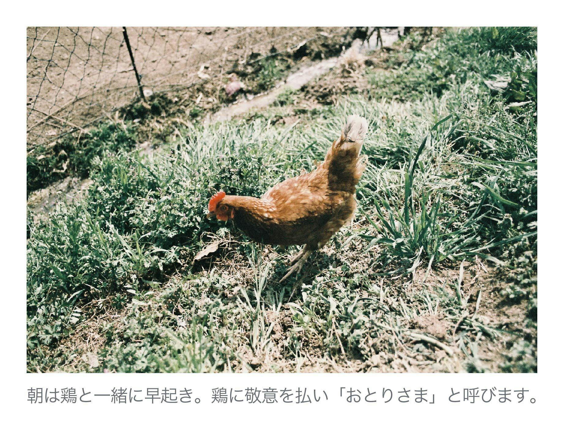 循環を作る 小規模養鶏を救う黄金の鶏ガラスープをみんなに届けたい Campfire キャンプファイヤー