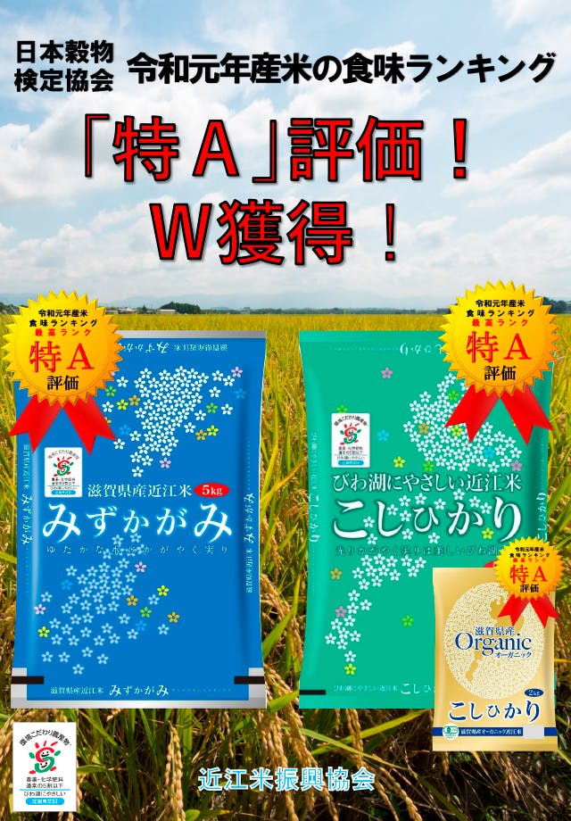 幻のオーガニック みずかがみ を使ったパンケーキやお菓子を食べてほしい Campfire キャンプファイヤー