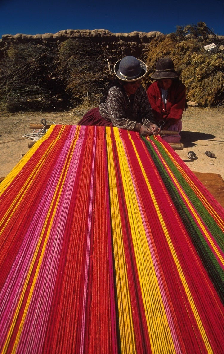 日本とボリビアの架け橋に力を ～ EXPO BOLIVIAを開催したい