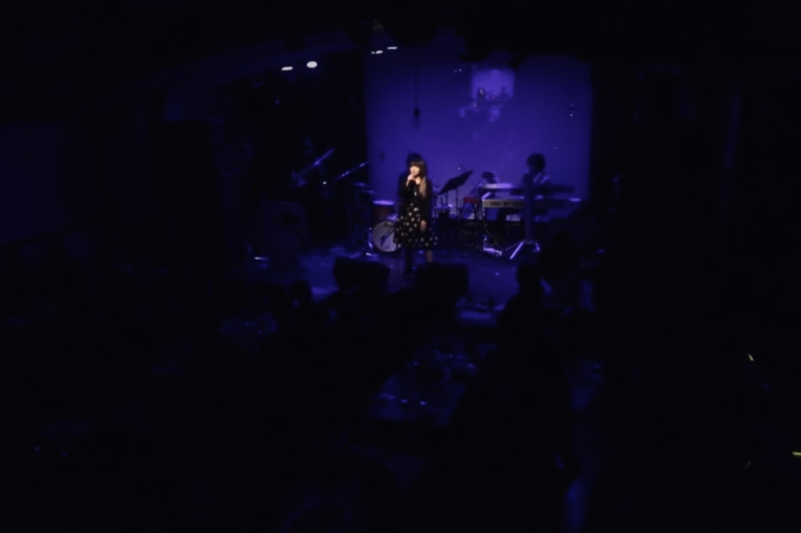 IMG_2985.jpeg