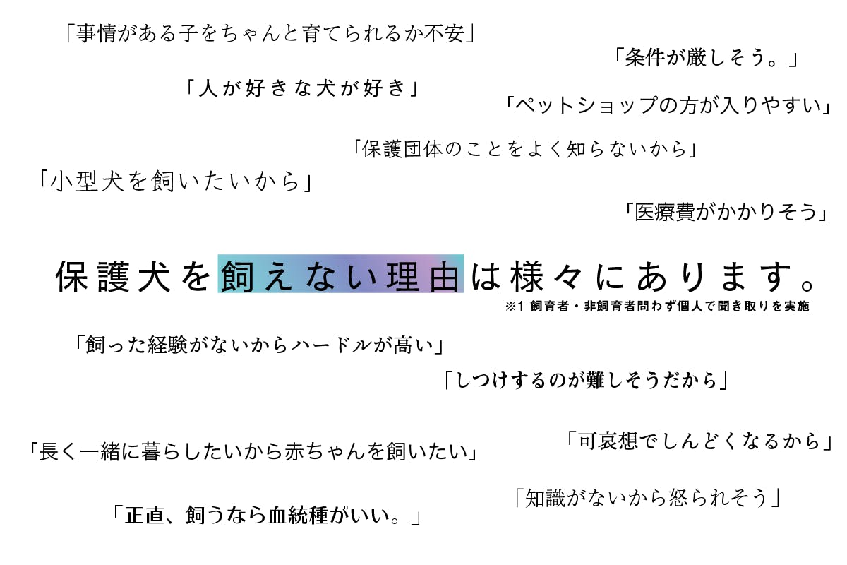 保護犬との新しい関係をつくる 推しペットプロジェクト Campfire キャンプファイヤー 保護犬との新しい関係をつくる 推しペットプロジェクト Campfire キャンプファイヤー