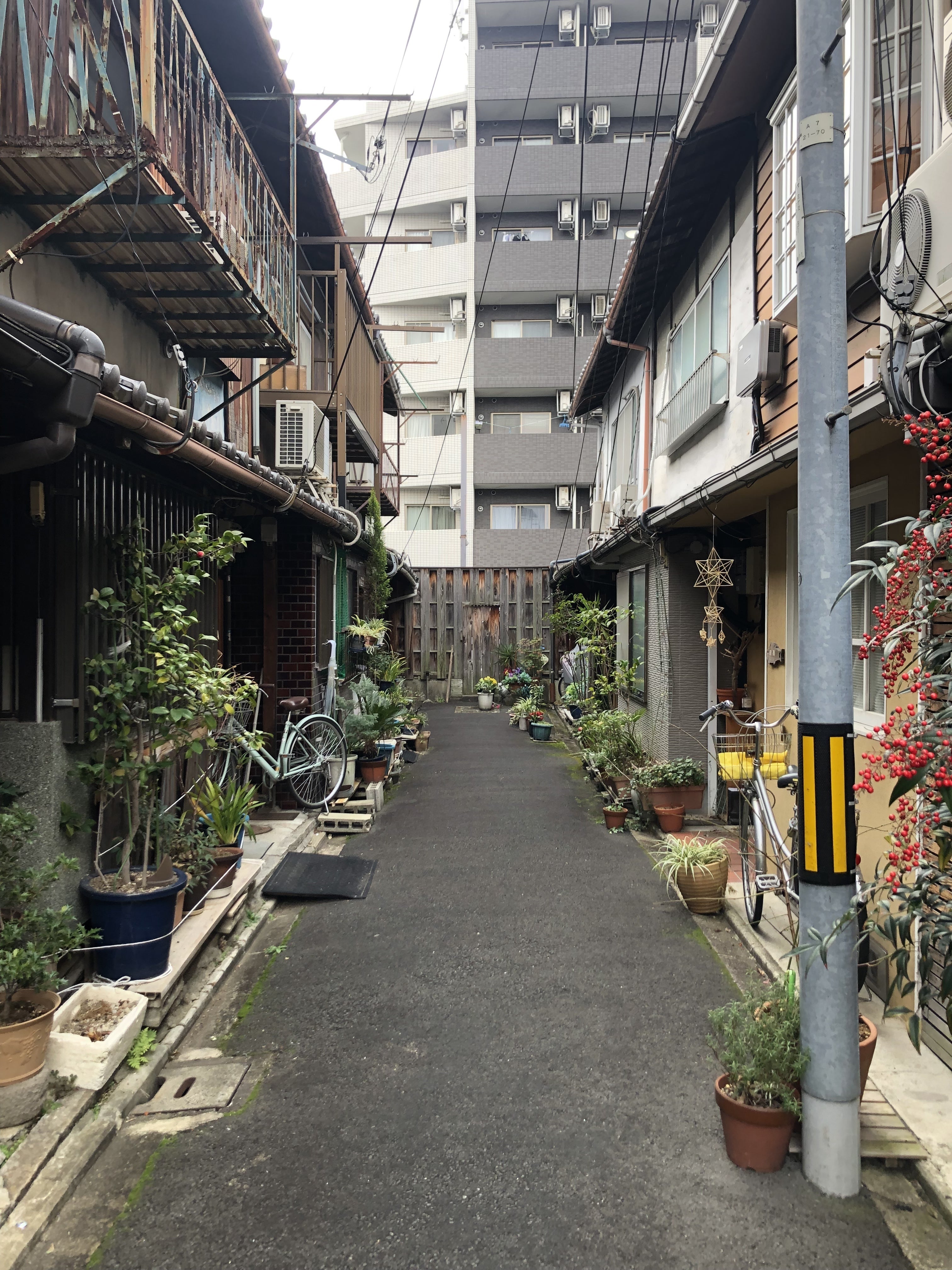 京町家を後世に残すためのプロジェクト！ - CAMPFIRE (キャンプファイヤー)