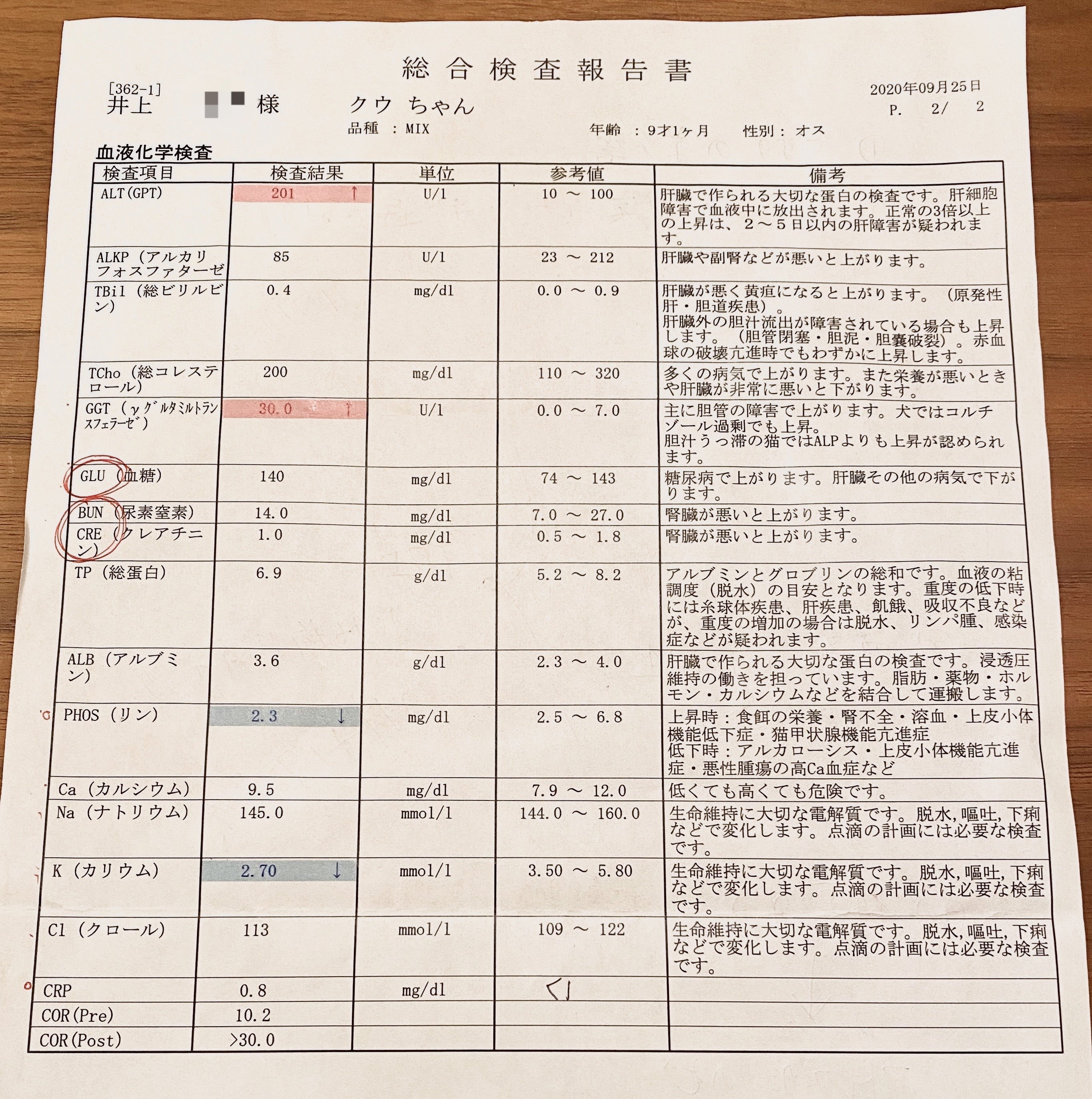 手術費用のお願い 愛犬クゥさん 9 を副腎腫瘍から救って下さい Campfire キャンプファイヤー 手術費用のお願い 愛犬クゥさん 9 を副腎腫瘍から救って下さい Campfire キャンプファイヤー