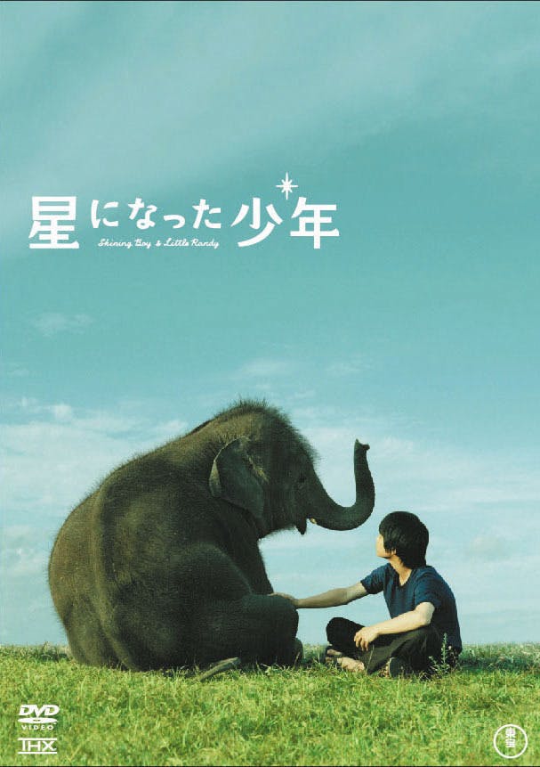 市原ぞうの国 ぞうさん達の水遊び場を皆さんと一緒に作りたい Campfire キャンプファイヤー 市原ぞうの国 ぞうさん達の水遊び場を皆さんと一緒に作りたい Campfire キャンプファイヤー