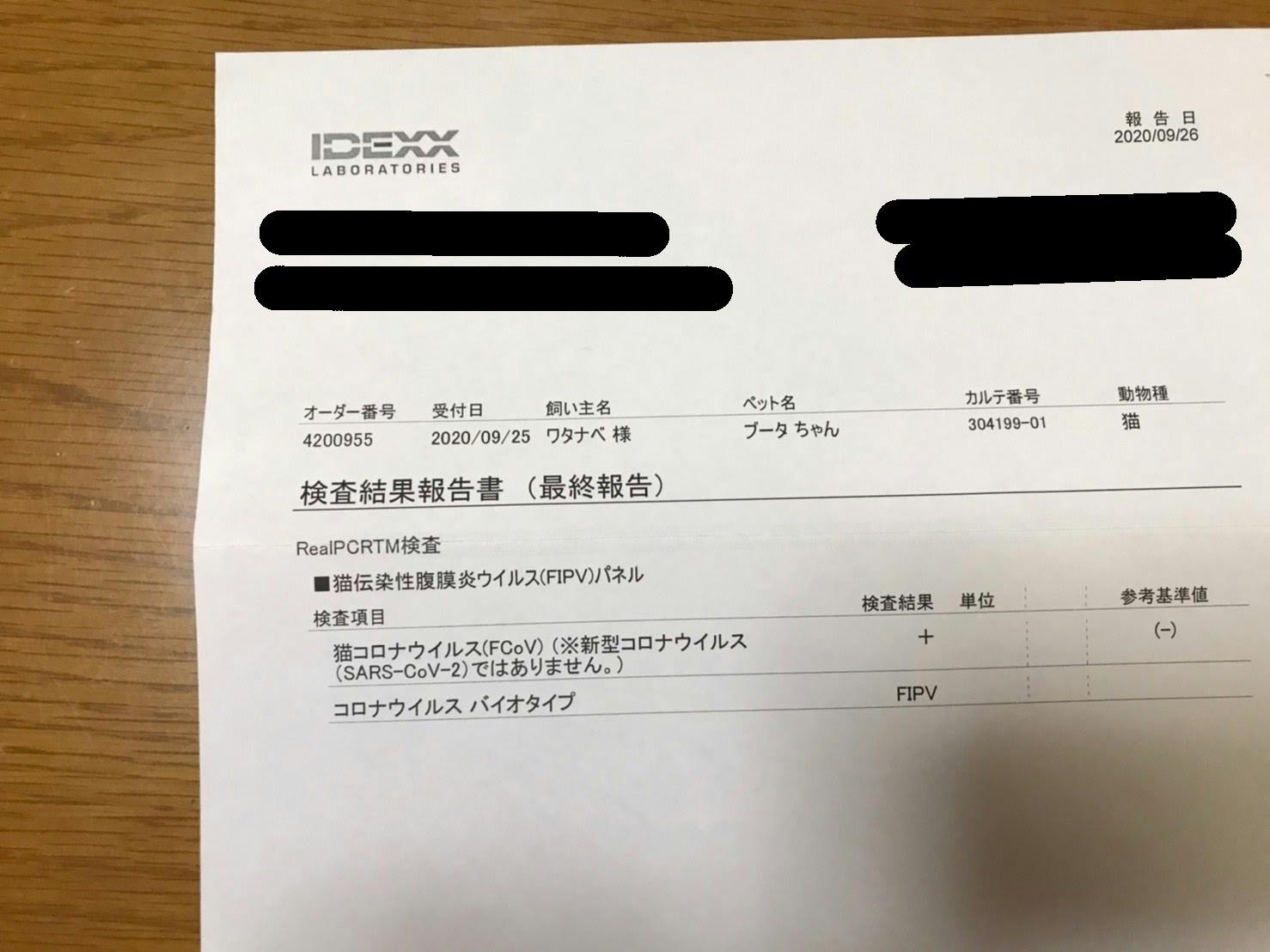 保護猫らむねを助けてください Campfire キャンプファイヤー 保護猫らむねを助けてください Campfire キャンプファイヤー