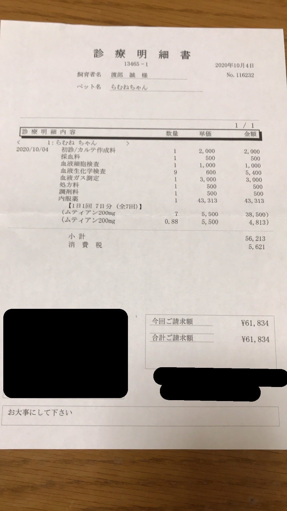 保護猫らむねを助けてください Campfire キャンプファイヤー 保護猫らむねを助けてください Campfire キャンプファイヤー