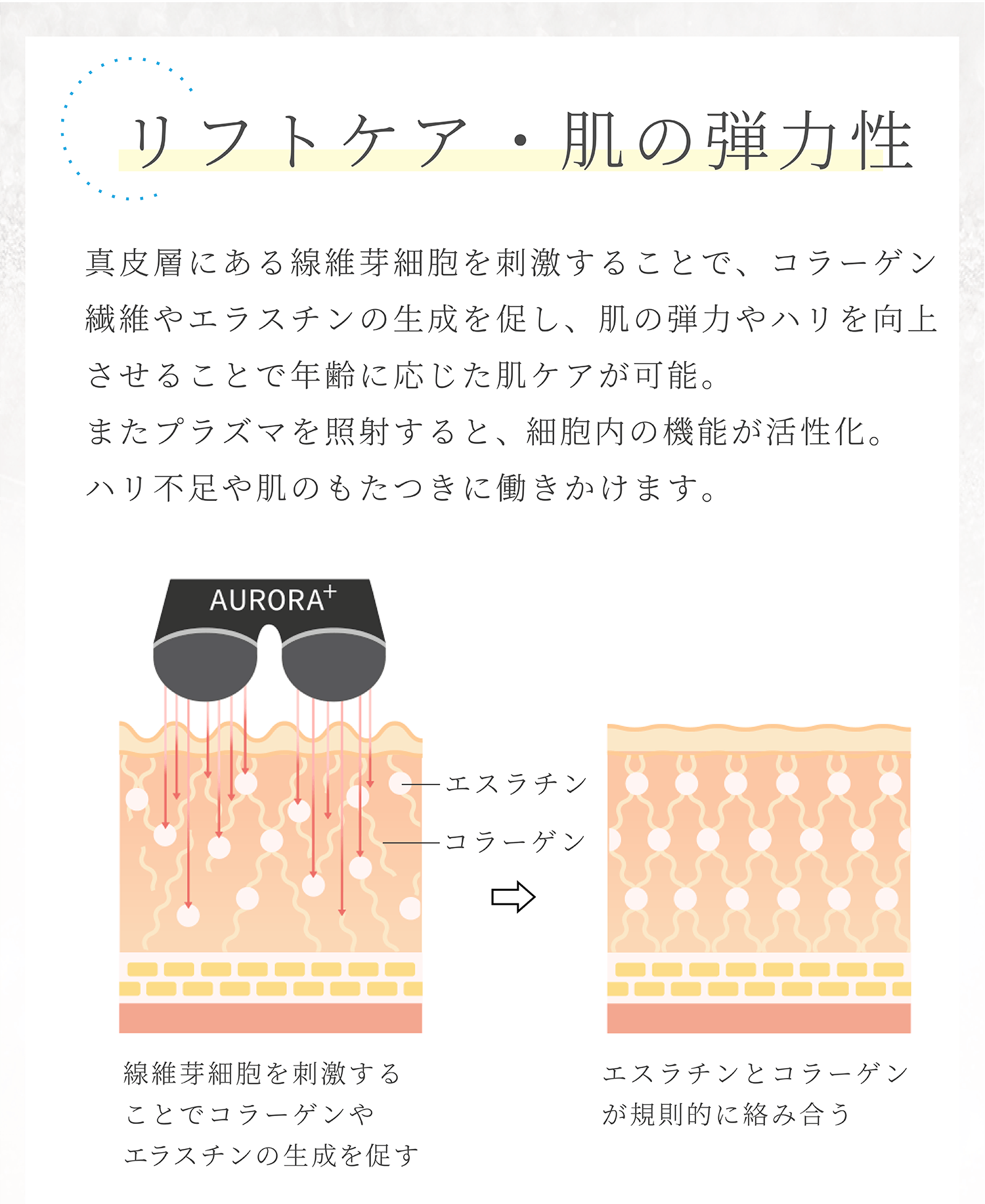 全商品オープニング価格 ❤エステサロン最新最先端モデル❣有効成分を