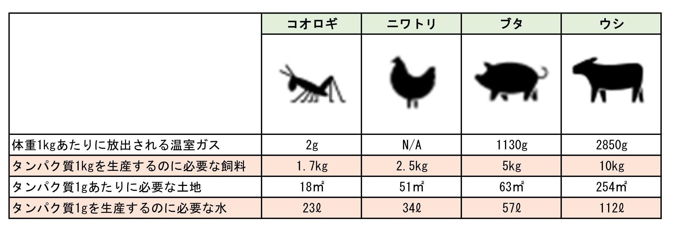 未来のスーパーフード昆虫食 食用コオロギ 栄養価が高くタンパク質が豊富な食材 Campfire キャンプファイヤー 未来のスーパーフード昆虫食 食用コオロギ 栄養価が高くタンパク質が豊富な食材 Campfire キャンプファイヤー