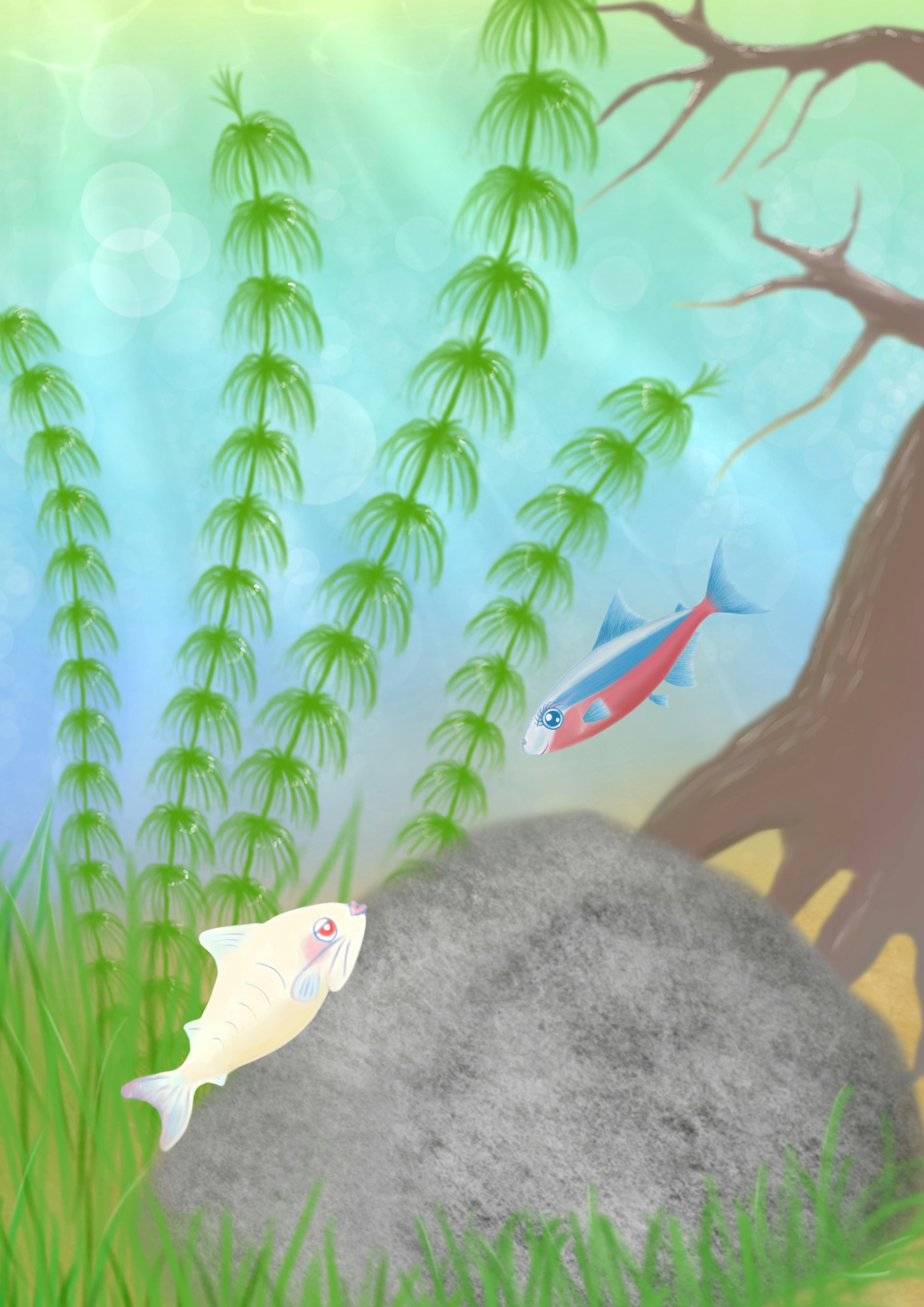 アクアリウムの東城久幸が色鉛筆に心を込めて描いた絵本 シロコリぽんたの大冒険 Campfire キャンプファイヤー アクアリウムの東城久幸が色鉛筆に心を込めて描いた絵本 シロコリぽんたの大冒険 Campfire キャンプファイヤー