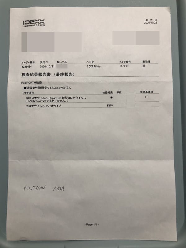 致死率100 のfip 猫伝染性腹膜炎 と闘う小さな命にどうか力をお貸し下さい Campfire キャンプファイヤー 致死率100 のfip 猫伝染性腹膜炎 と闘う小さな命にどうか力をお貸し下さい Campfire キャンプファイヤー