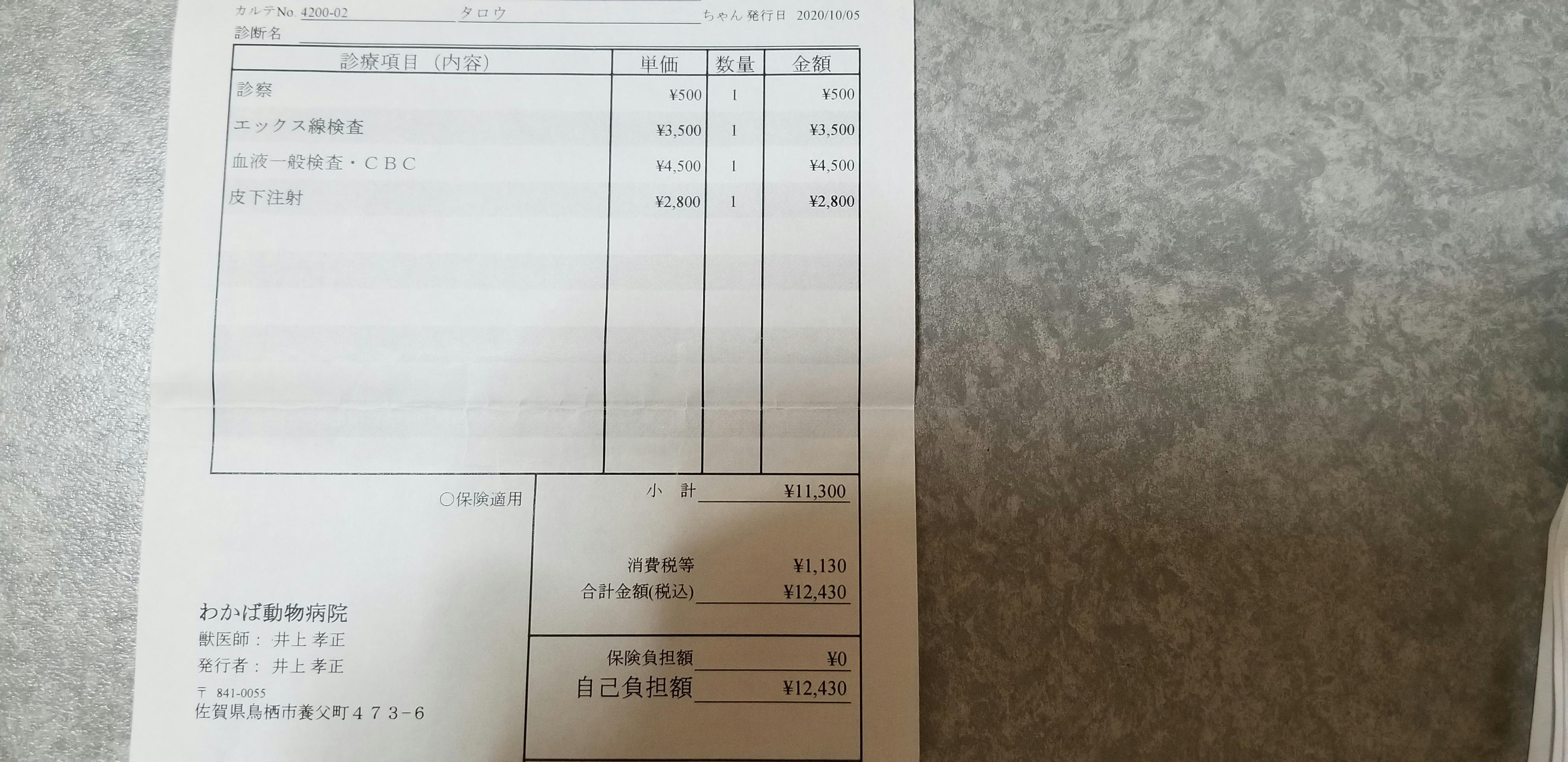 猫伝染性腹膜炎FIPに感染したタロウを助けたいです。どうか皆様の力を 