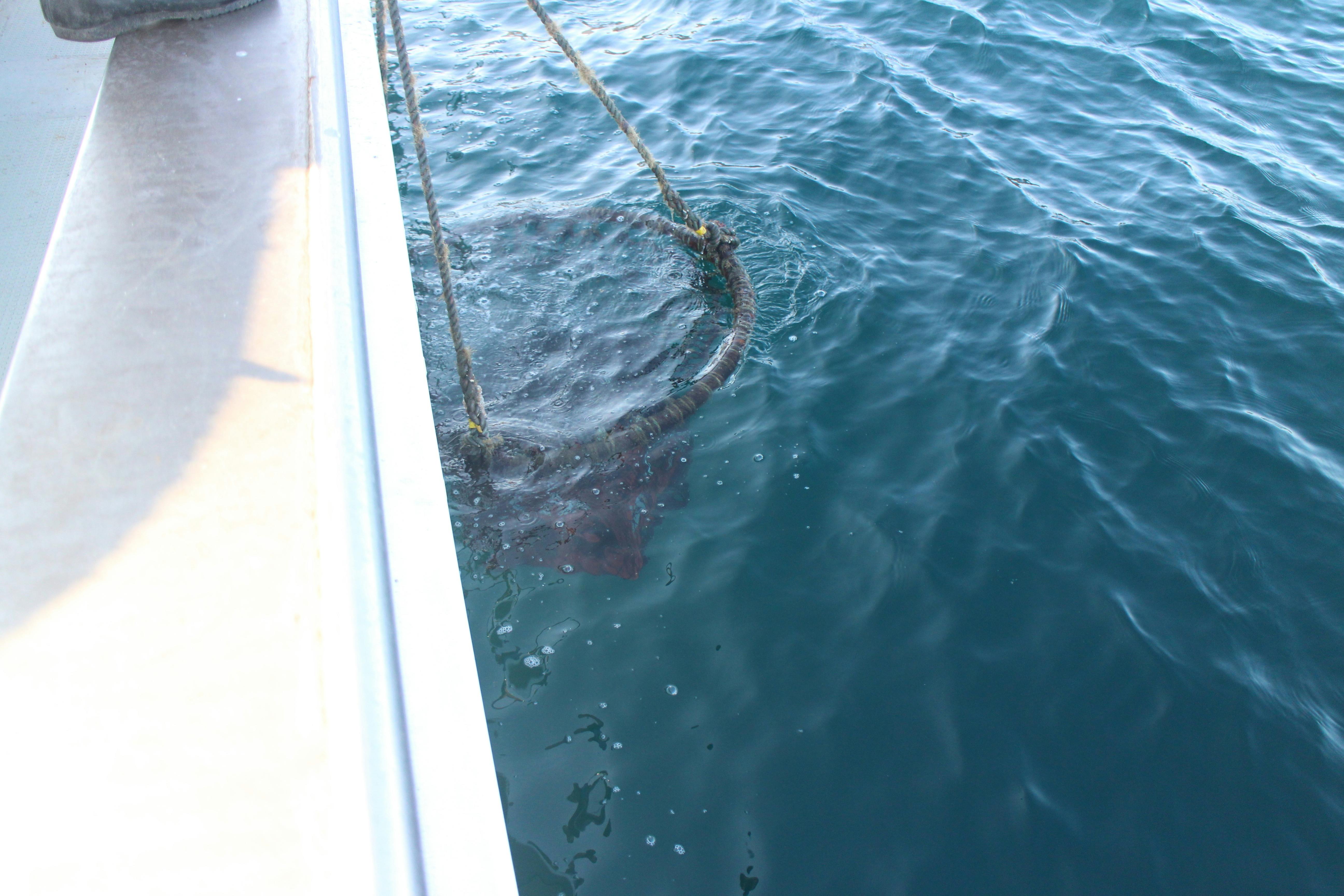 北海道海底熟成プロジェクトin知床 探偵はbarにいる監修bar一慶の新たな挑戦 Campfire キャンプファイヤー 北海道海底熟成プロジェクトin知床 探偵はbarにいる監修bar一慶の新たな挑戦 Campfire キャンプファイヤー