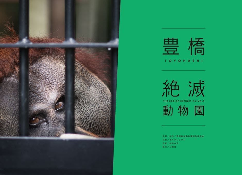 豊橋発 子どもたちの未来を考える読み聞かせ写真集 豊橋絶滅動物園 を作りたい Campfire キャンプファイヤー 豊橋発 子どもたちの未来を考える読み聞かせ写真集 豊橋絶滅動物園 を作りたい Campfire キャンプファイヤー