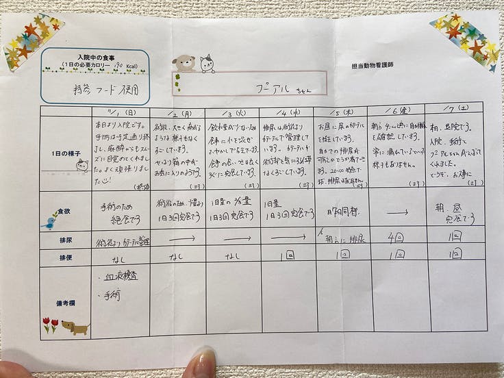 怪我で尿道閉塞を起こした保護猫に尿道移設手術で自力排尿ができるようにしたい Campfire キャンプファイヤー 怪我で尿道閉塞を起こした保護猫に尿道移設手術で自力排尿ができるようにしたい Campfire キャンプファイヤー