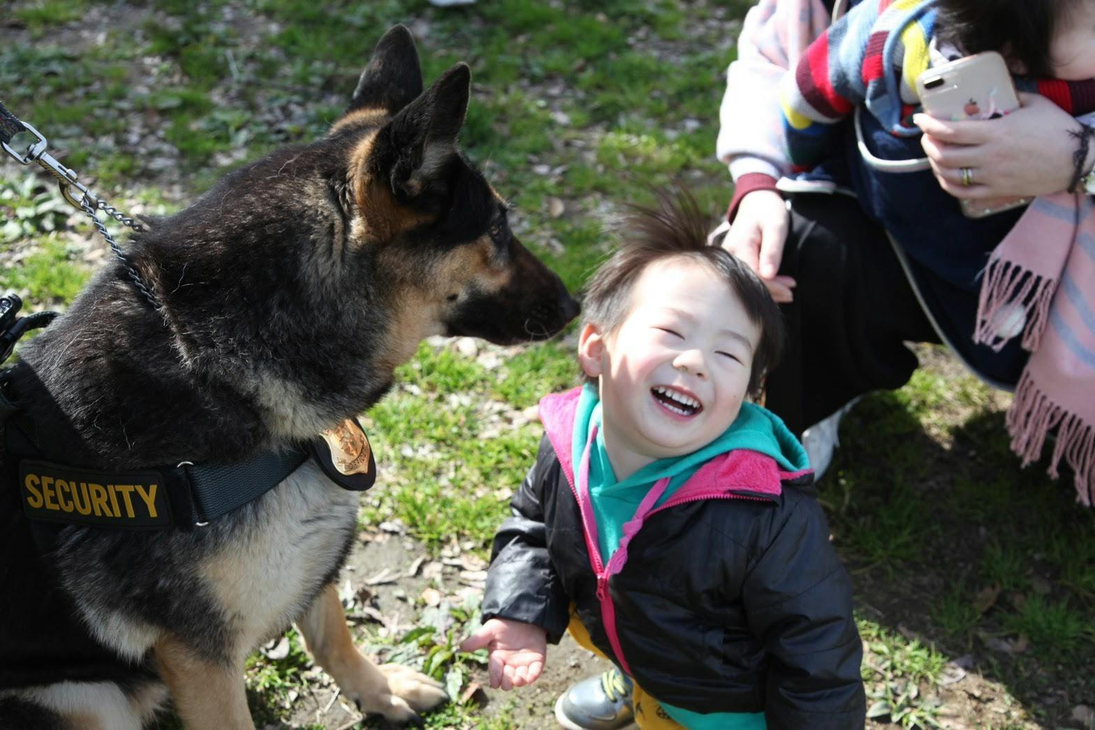 警察犬候補生ゼウス育成プロジェクト Campfire キャンプファイヤー