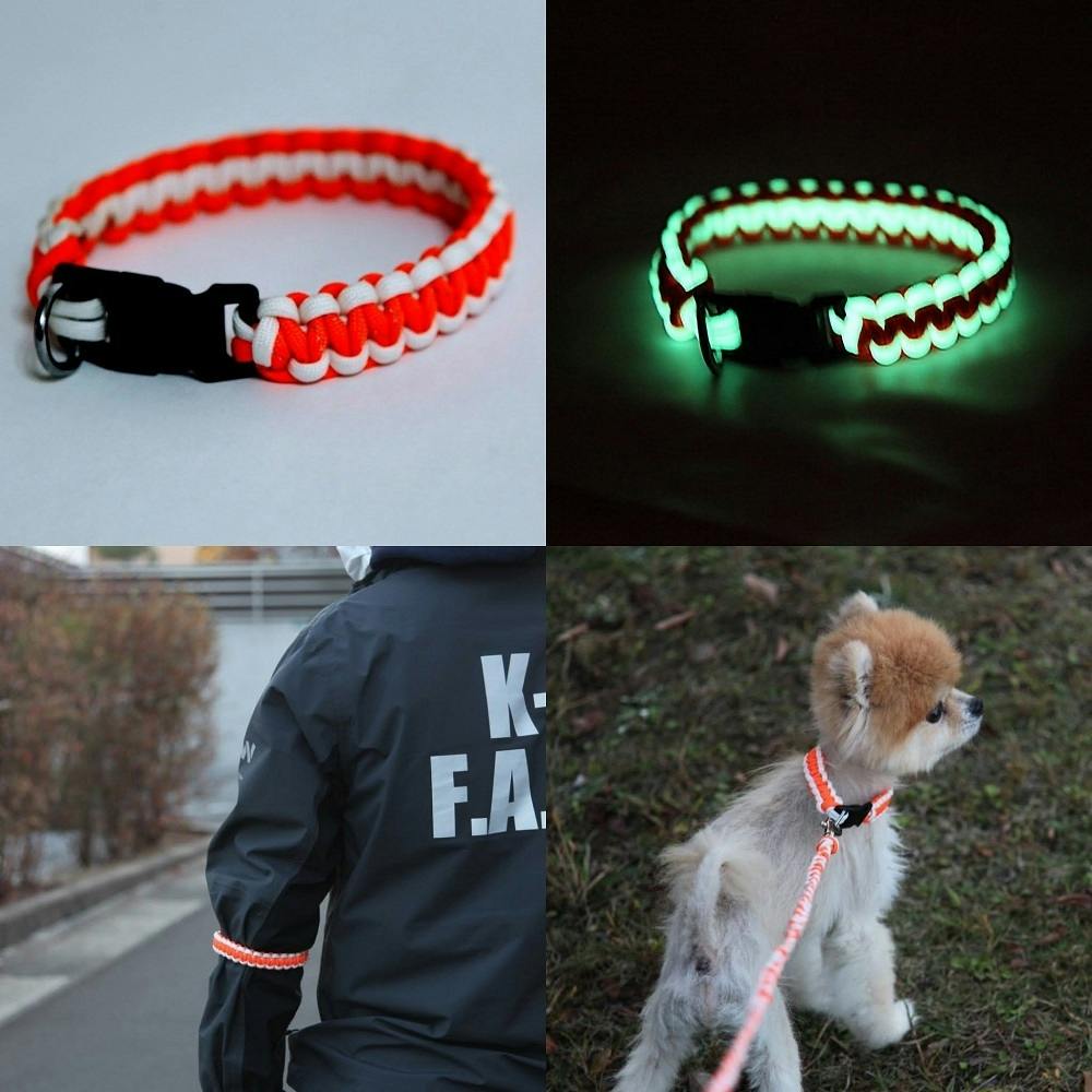 警察犬候補生ゼウス育成プロジェクト Campfire キャンプファイヤー