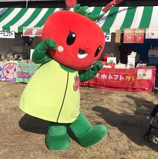 おうちでとまちゃん とまちゃんが「ぬいぐるみ」になってみんなの