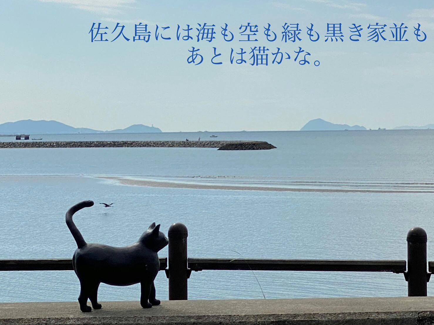 三河湾に浮かぶ アートの島 佐久島に猫の鉄の像を5匹飾りたい