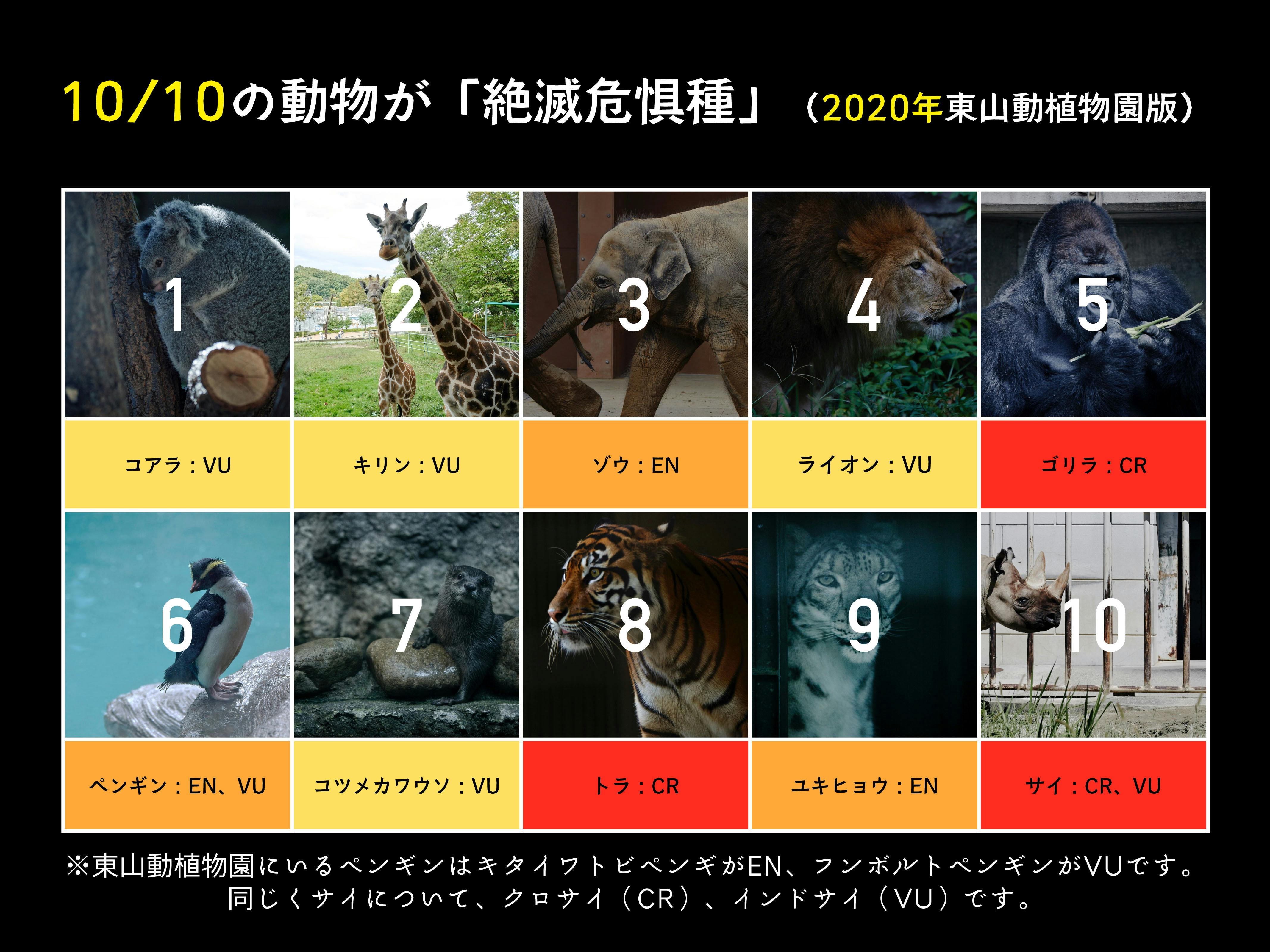 豊橋発 子どもたちの未来を考える読み聞かせ写真集 豊橋絶滅動物園 を作りたい Campfire キャンプファイヤー 豊橋発 子どもたちの未来を考える読み聞かせ写真集 豊橋絶滅動物園 を作りたい Campfire キャンプファイヤー