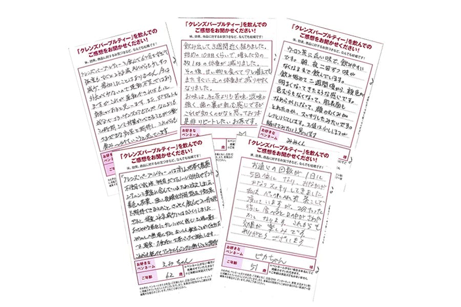 Sdgｓ対応 ケニアが25年かけて開発した新種の抗酸化茶 紫茶 を広めたい Campfire キャンプファイヤー