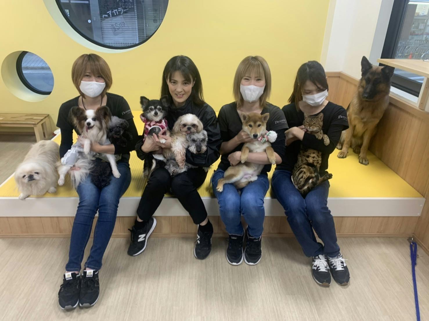 旧 ペットンカフェ コロナに負けたくない 犬猫カフェ 月と太陽 存続の危機 Campfire キャンプファイヤー 旧 ペットンカフェ コロナに負けたくない 犬猫カフェ 月と太陽 存続の危機 Campfire キャンプファイヤー
