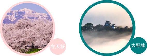 弁天桜　大野城　福井　勝山　民泊　秘密基地