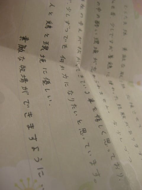 募金箱からのメッセージ Campfire キャンプファイヤー