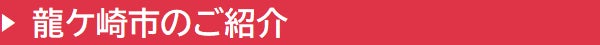 龍ケ崎市のご紹介