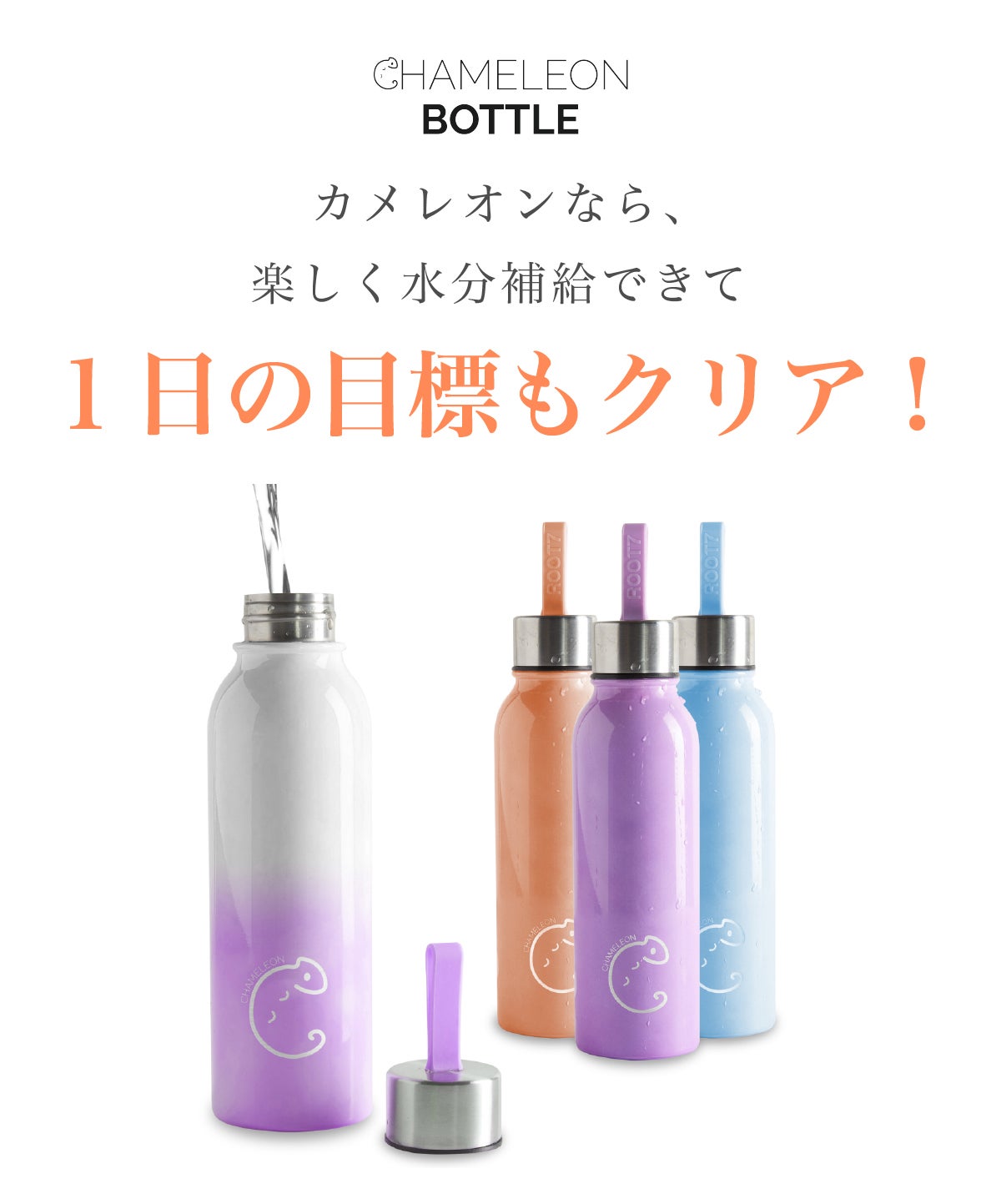 カメレオンなら楽しく水分補給できて1日の目標もクリア!
