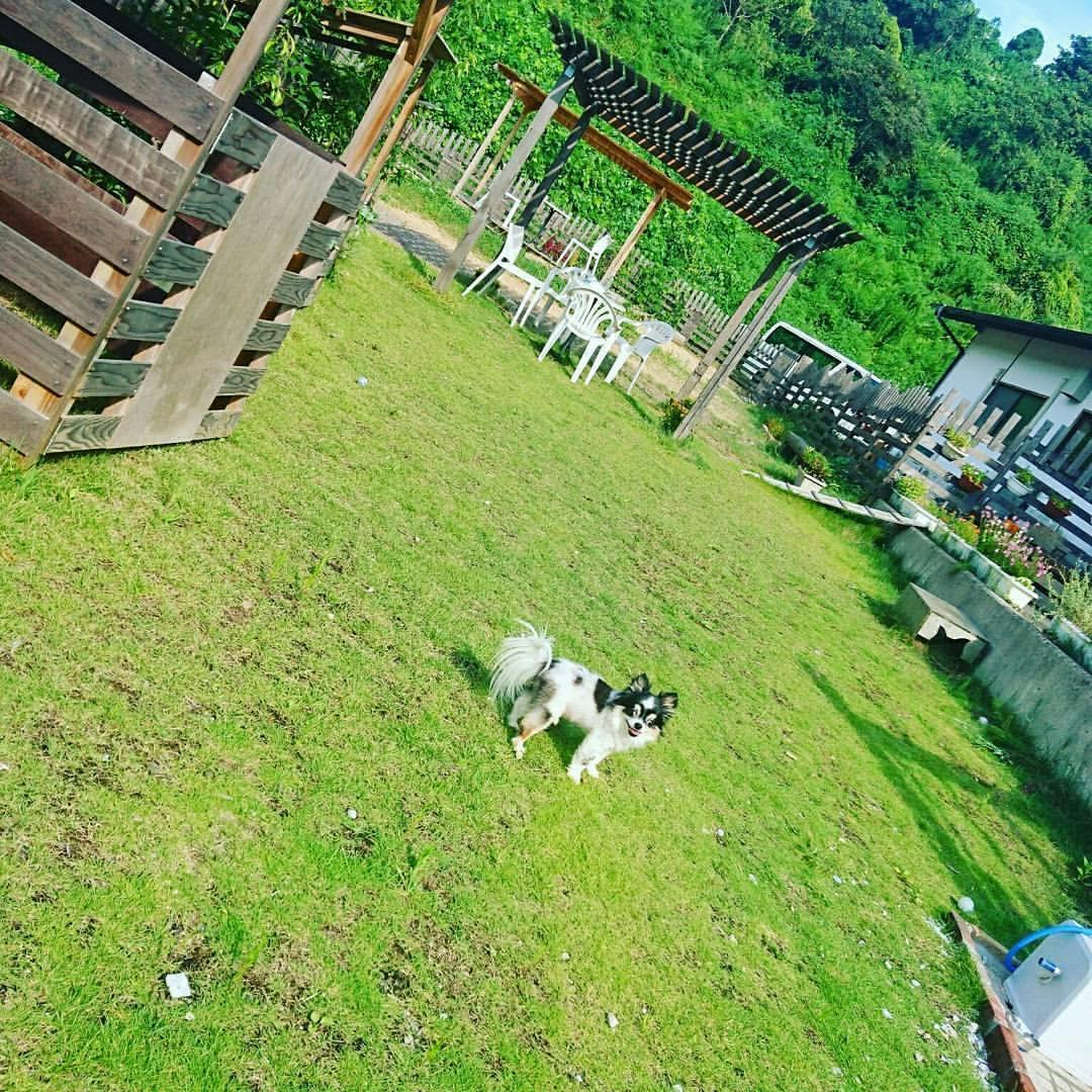 鳥取 島根の子供達はsnsの時代だからこそ実体験させたい Campfire キャンプファイヤー 鳥取 島根の子供達はsnsの時代だからこそ実体験させたい Campfire キャンプファイヤー