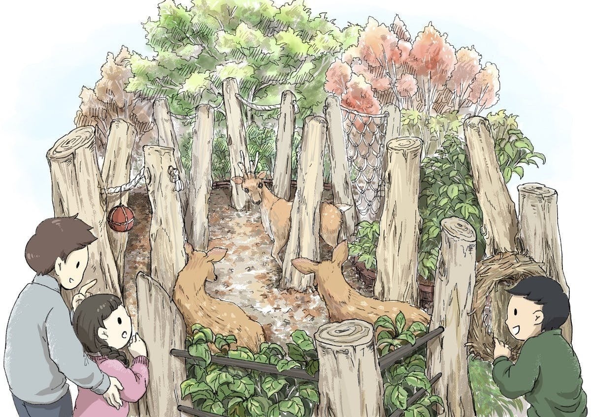 荒川河川敷で保護されたの鹿 ケープ と仲間たちのお家を作りたい Campfire キャンプファイヤー