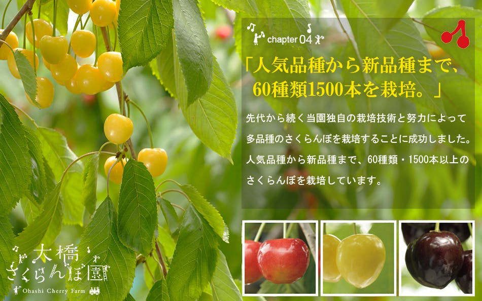 生きた土で作った 黄金のさくらんぼ 至高の味を皆さまに届けたい Campfire キャンプファイヤー 生きた土で作った 黄金のさくらんぼ 至高の味を皆さまに届けたい Campfire キャンプファイヤー