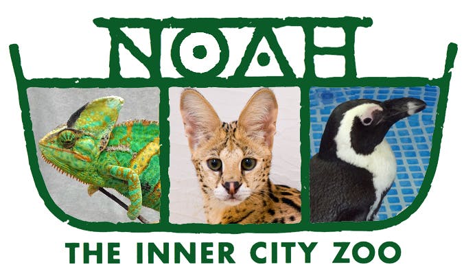 Noah 動物たちとコロナ禍を乗り超えたい 是非 皆さんの力を貸して下さい Campfire キャンプファイヤー
