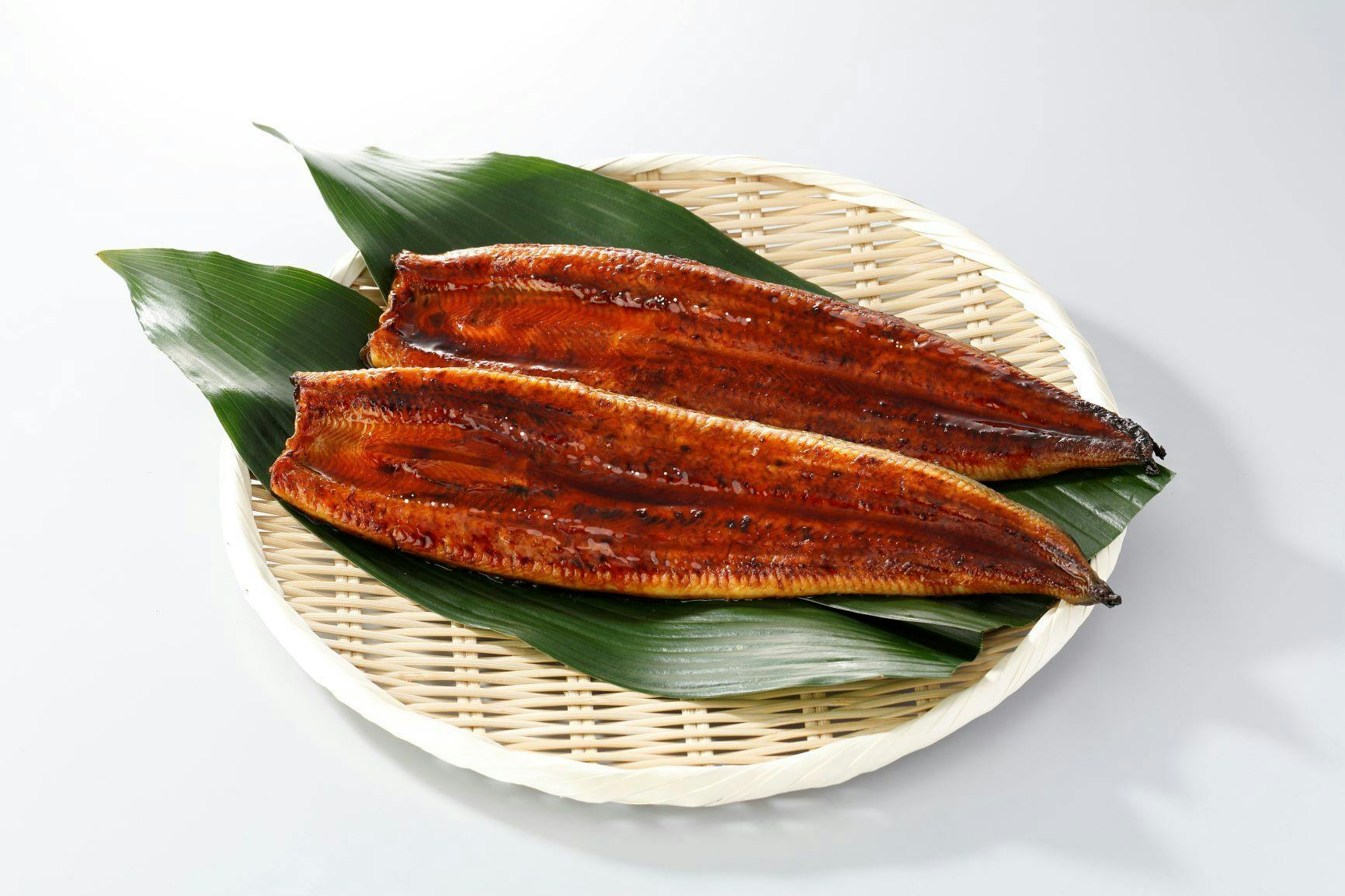 創業40年 秘伝のたれで焼いた国産鰻の蒲焼きを食べて養殖場を救ってほしい Campfire キャンプファイヤー 創業40年 秘伝のたれで焼いた国産鰻の蒲焼きを食べて養殖場を救ってほしい Campfire キャンプファイヤー
