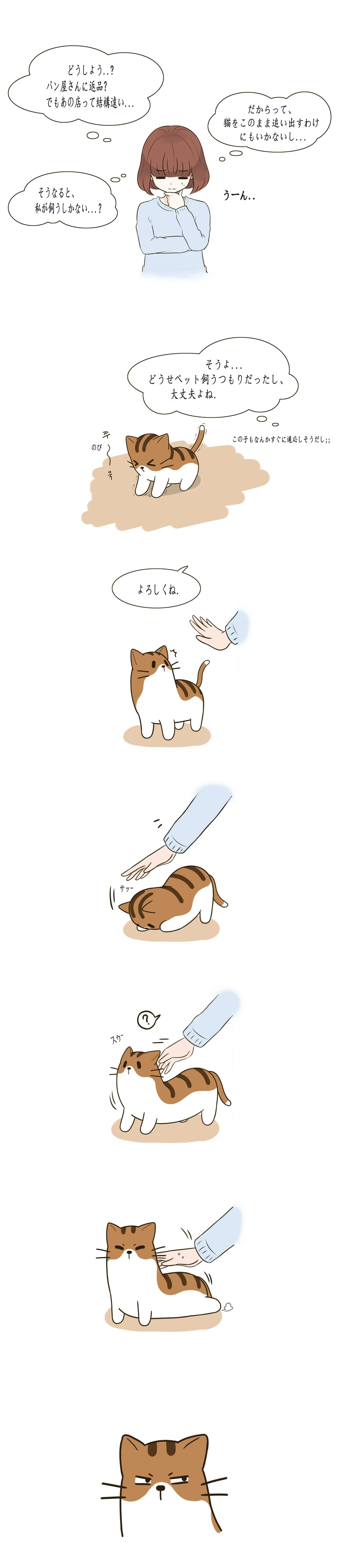 食パンの中に猫が パウンドキャット の連載を支援してください Campfire キャンプファイヤー 食パンの中に猫が パウンドキャット の連載を支援してください Campfire キャンプファイヤー