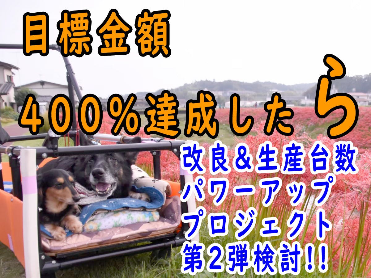 大型犬が伏せして居られる 小さくして車に載せられる大型犬カートを製作 提供 Campfire キャンプファイヤー